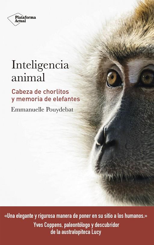 Inteligencia animal | 9788417114947 | Emmanuelle Pouydebat