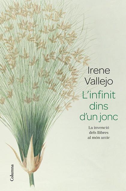 L infinit dins d un jonc | 9788466426947 | Irene Vallejo