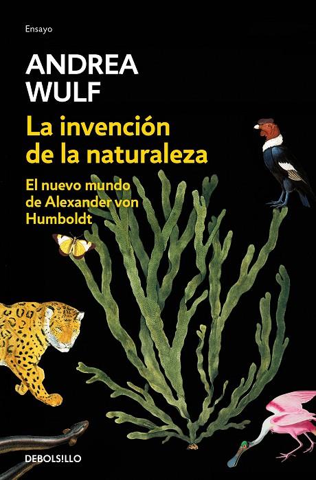 La invención de la naturaleza B | 9788466346108 | Andrea Wulf