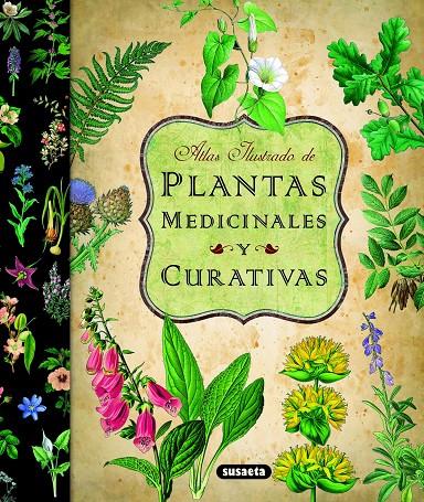 Plantas medicinales curativas | 9788467712575 | Susaeta, Equipo