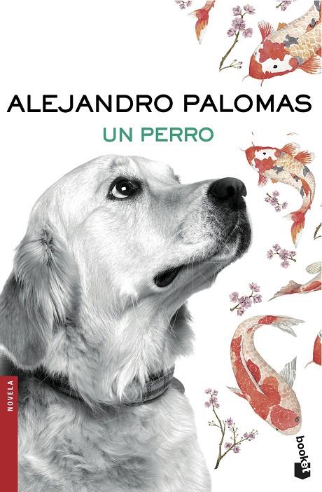 Un perro (butxaca) | 9788423351862 | Alejandro Palomas