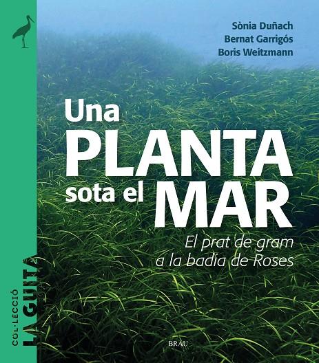 Una planta sota el mar | 9788418096747 | Duñach, Sònia/Garrigós, Bernat/Weitzmann, Boris