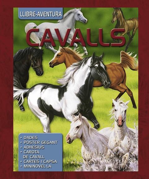 Llibre aventura. Cavalls | 9788467733785 | Susaeta, Equip