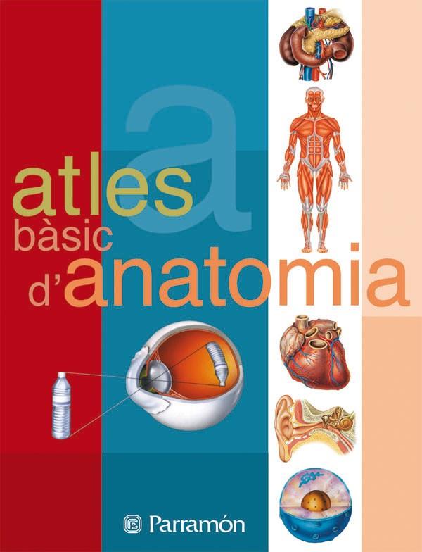 Atles bàsic d anatomia | 9788434223134 | Cassan, Adolfo / Muñoz Tenllado, Antonio