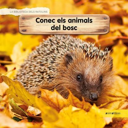 Conec els animals del bosc | 9788417599218 | Lamour-Crochet, Céline