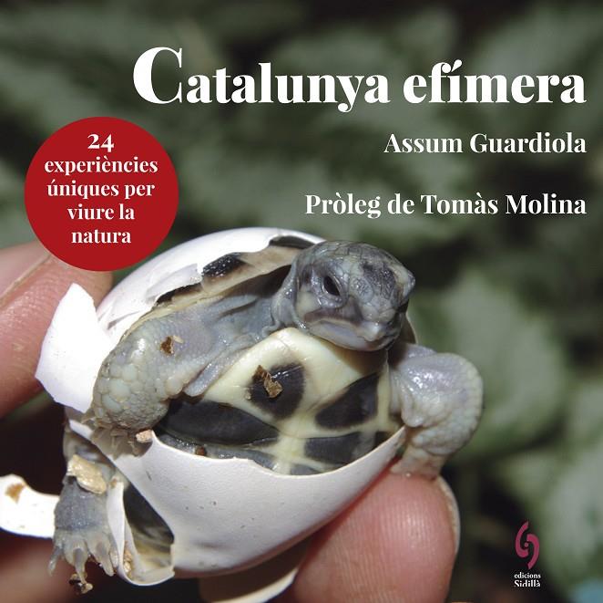 Catalunya efímera | 9788494928147 | Assum Guardiola