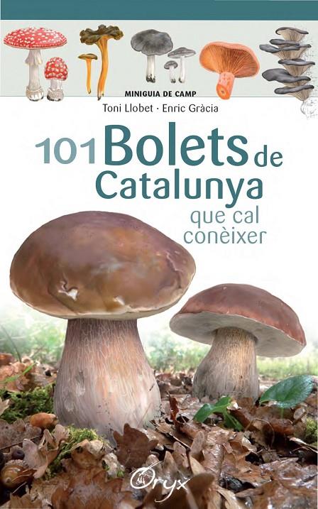 101 bolets de Catalunya | 9788490347096 | Llobet François, Toni / Gràcia, Enric