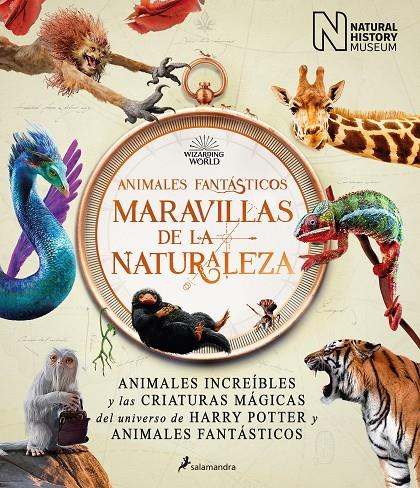 Animales fantásticos: maravillas de la naturaleza | 9788418637056 | The National History Museum,