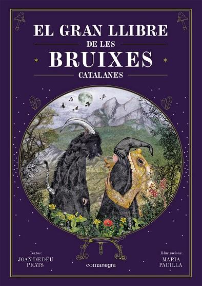 El gran llibre de les bruixes catalanes | 9788418857751 | Prats, Joan de Déu / Padilla Climent, Maria