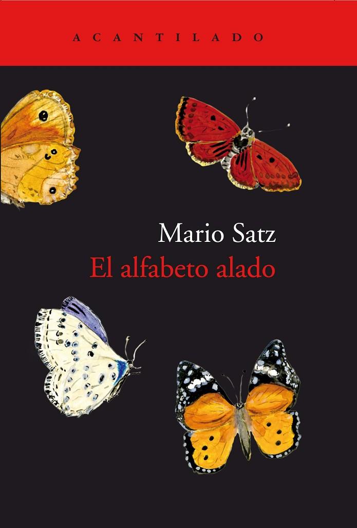 El alfabeto alado | 9788417346638 | Mario Satz