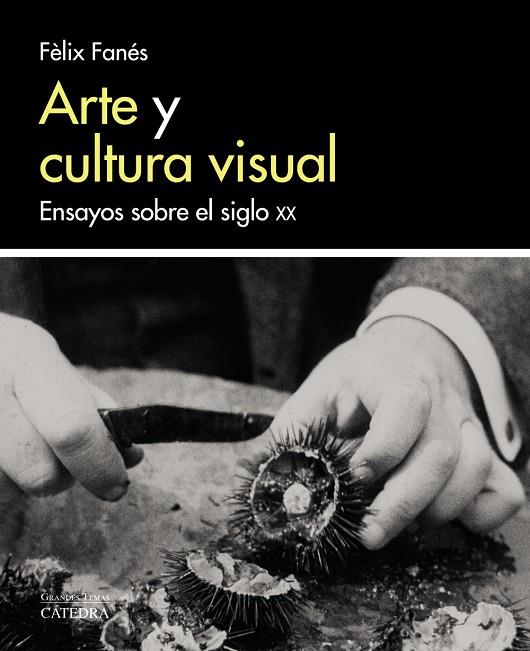 Arte y cultura visual | 9788437638058 | Fèlix Fanés