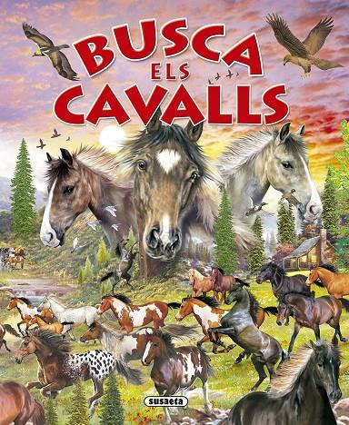 Busca els cavalls | 9788430559701 | Susaeta, Equipo