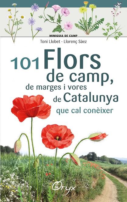 101 flors de camp | 9788490348413 | Sàez Goñalons, Llorenç / Llobet François, Toni