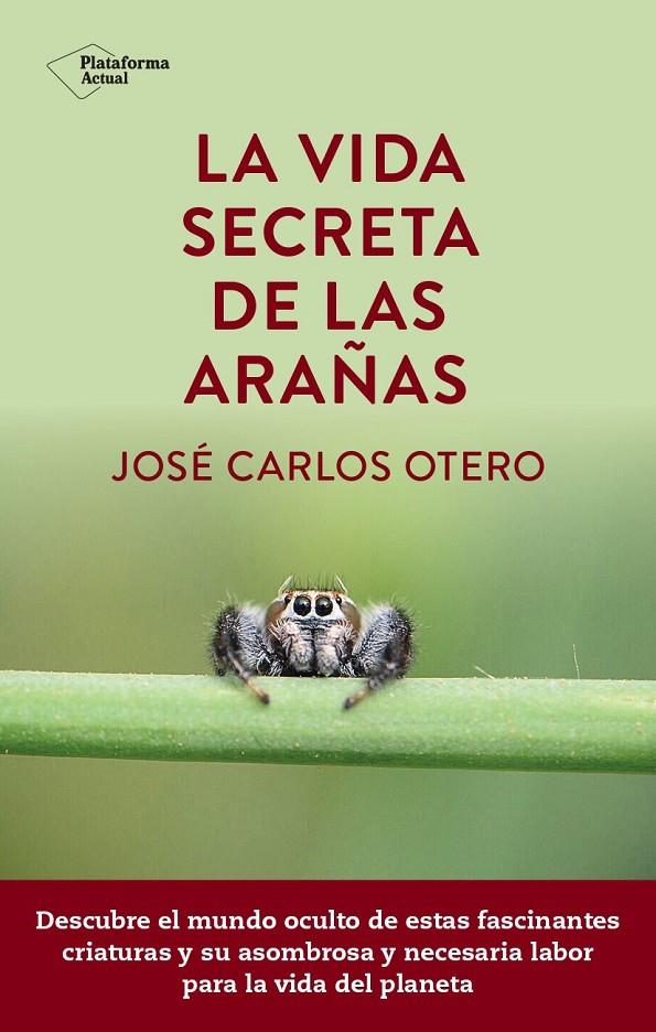 La vida secreta de las arañas | 9788419655189 | Otero, José Carlos