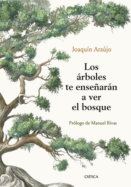 Los árboles te enseñarán a ver el bosque | 9788491992080 | Joaquín Araújo