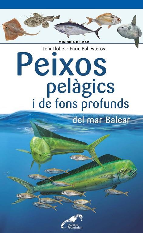 Peixos pelàgics de fons profunds del mar Balear | 9788490349397 | Ballesteros Sagarra, Enric / Llobet François, Toni