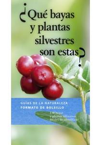 ¿QUÉ BAYAS Y PLANTAS SILVESTRES SON ESTAS? | 9788428217309 | DREYER, EVA MARIA