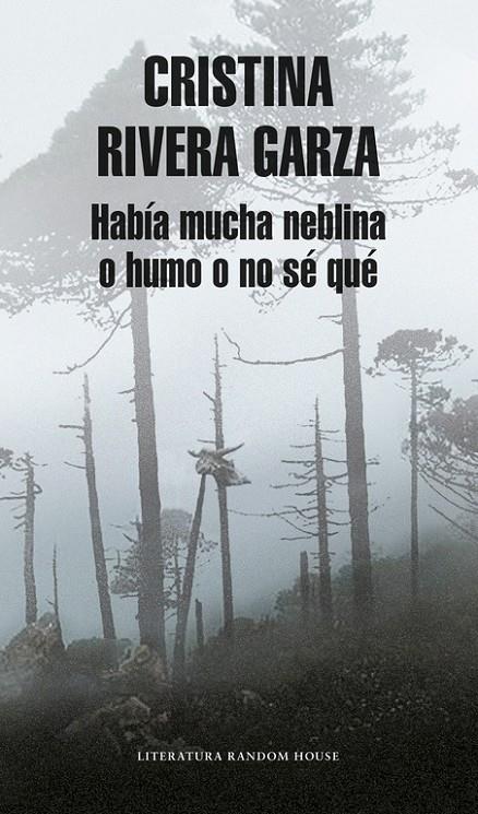 Había mucha neblina o humo o no sé qué | 9788439732761 | Cristina Rivera Garza