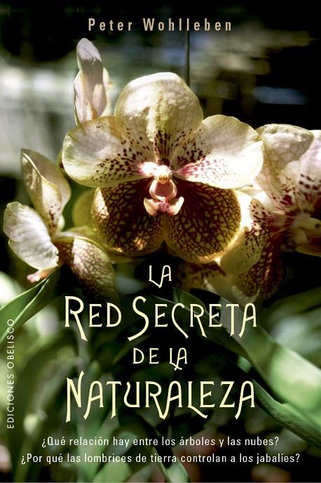 La red secreta de la naturalea | 9788491114192 | Peter Wohlleben