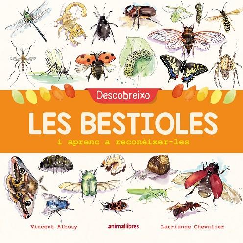 Descobreixo les bestioles | 9788417599201 | Albouy, Vincent