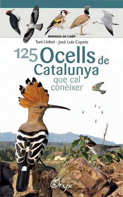 125 ocells de Catalunya que cal conèixer | 9788490346747 | Llobet François, Toni / Copete, José Luis