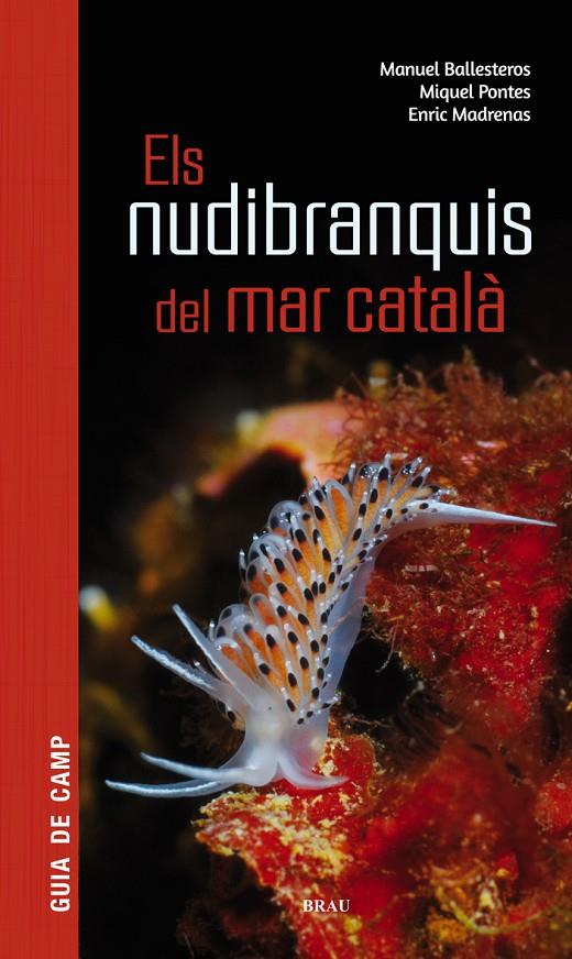 Els nudibranquis del mar català | 9788415885924 | Ballesteros Vázquez, Manuel / Pontes Garcia, Miquel / Madrenas Tomàs, Enric