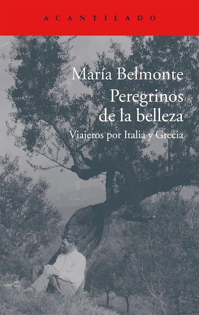 Peregrinos de la belleza | 9788416011513 | María Belmonte