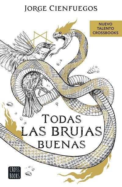 Todas las brujas buenas | 9788408260066 | Cienfuegos, Jorge