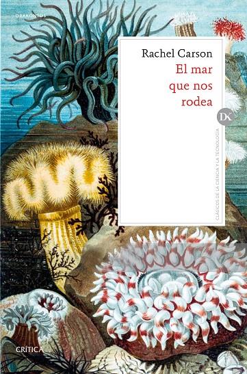 El mar que nos rodea | 9788491991069 | Carson, Rachel