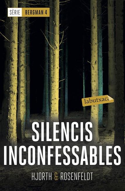 Silencis inconfessables B | 9788417420536 | Hjorth & Rosenfeldt