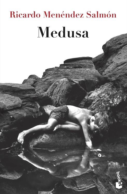 Medusa | 9788432220746 | Ricardo Menéndez Salmón