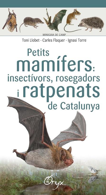 Petits mamífers: insectívors, rosgadors i ratpenats de Catalunya | 9788490348956 | Flaquer XX, Carles / Torre XX, Ignasi / Llobet François, Toni