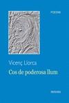 Cos de poderosa llum | 9788494834257 | Vicenç Llorca