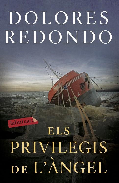 Els privilegis de l àngel | 9788417423971 | Dolores Redondo