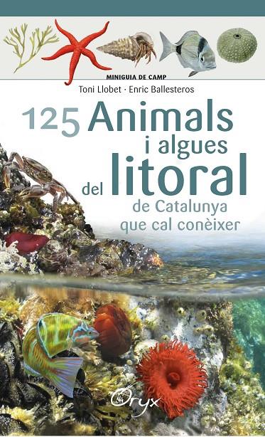 125 animals i algues del litoral | 9788490347416 | Ballesteros Sagarra, Enric