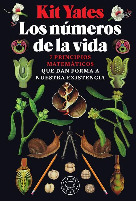 Los números de la vida | 9788417552947 | Kit Yates