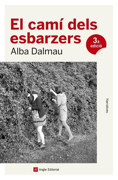 El camí dels esbarzers | 9788417214562 | Alba Dalmau