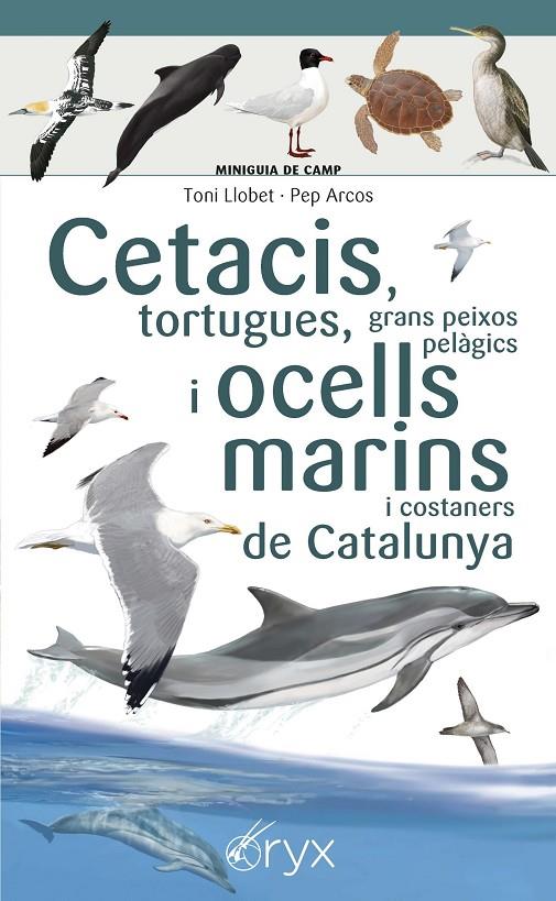 Cetacis, tortugues i ocells marins i costaners de Catalunya | 9788490349441 | Arcos xx, Pep / Llobet François, Toni