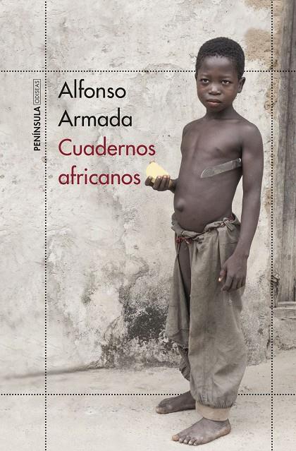 Cuadernos africanos | 9788499428031 | Alfonso Armada