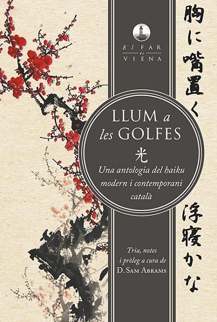 Llum a les golfes | 9788494906671 | Sam Abrams