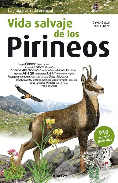 Vida salvaje de los Pirineos | 9788415885542 | Guixé Coromines, David