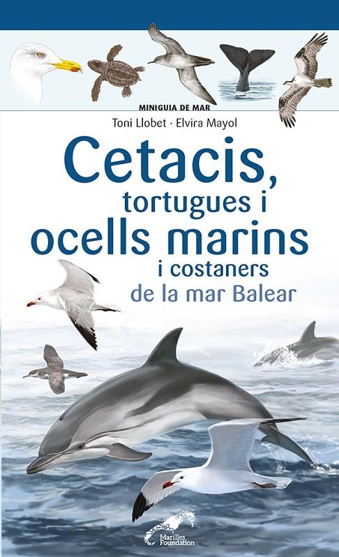 Cetacis, tortugues i ocells marins i costaners de la mar Balear | 9788413562735 | Mayol, Elvira